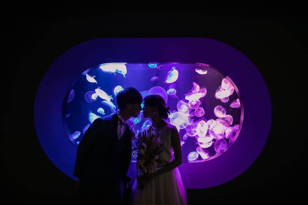 ラヴィ•ファクトリーさんのインスタグラム写真 - (ラヴィ•ファクトリーInstagram)「. 【写真で叶える結婚式】 . 水族館でのウェディングフォト🐬  ダイナミックな大水槽やライトアップされた水槽の前で あえて逆光で撮影することで幻想的なフォトに✨  日常を忘れるような一瞬を残しませんか？🫧 . —————— ラヴィファクトリー: @fukuoka_laviephotography Photographer: ＠aki_batakanobu AREA:JAPAN,FUKUOKA —————— @laviefactoryをフォローして #laviefactory #ラヴィファクトリー のハッシュタグをつけて お写真を投稿してみてくださいね✳︎ . こちらの公式IG（@laviefactory） で取り上げさせていただきます✨ . 思わず笑顔になれるハートのある 「家族写真」はラヴィクルール* >>>@laviecouleur_official . #wedding #weddingphotography #photo  #ハートのある写真 #instawedding #結婚写真 #ウェディング #ウェディングフォト #撮影指示書 #ロケーションフォト #前撮り#写真好きな人と繋がりたい #フォトウェディング #卒花 #後撮り #ウェディングニュース #前撮り小物 #前撮りフォト #前撮りアイテム #ウェディング撮影 #撮影構図 #前撮りアイディア #撮影指示書 #花嫁コーディネート #水族館 #洋装ロケフォト #マリンワールド水族館 #水族館フォト」6月11日 17時32分 - laviefactory