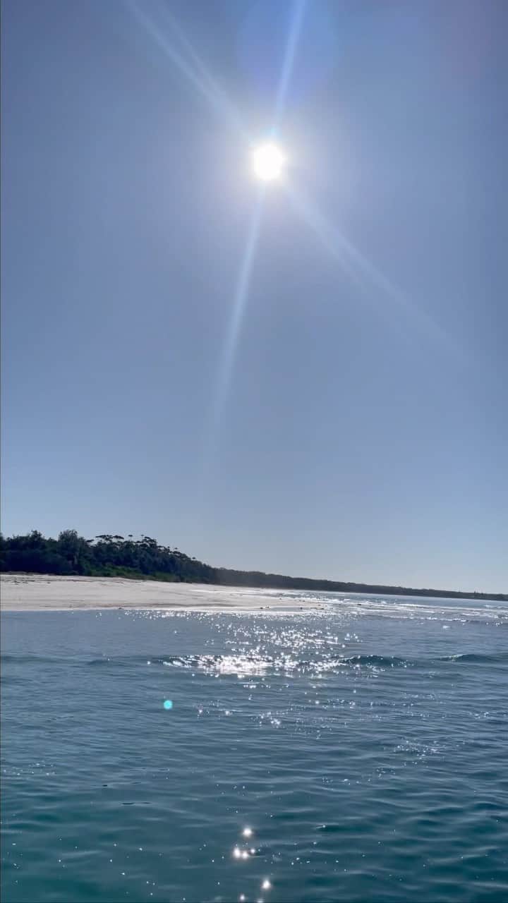 サリー・フィッツギボンズのインスタグラム：「Dayyy for it ☀️🐋 Epic family fish off 🎣」
