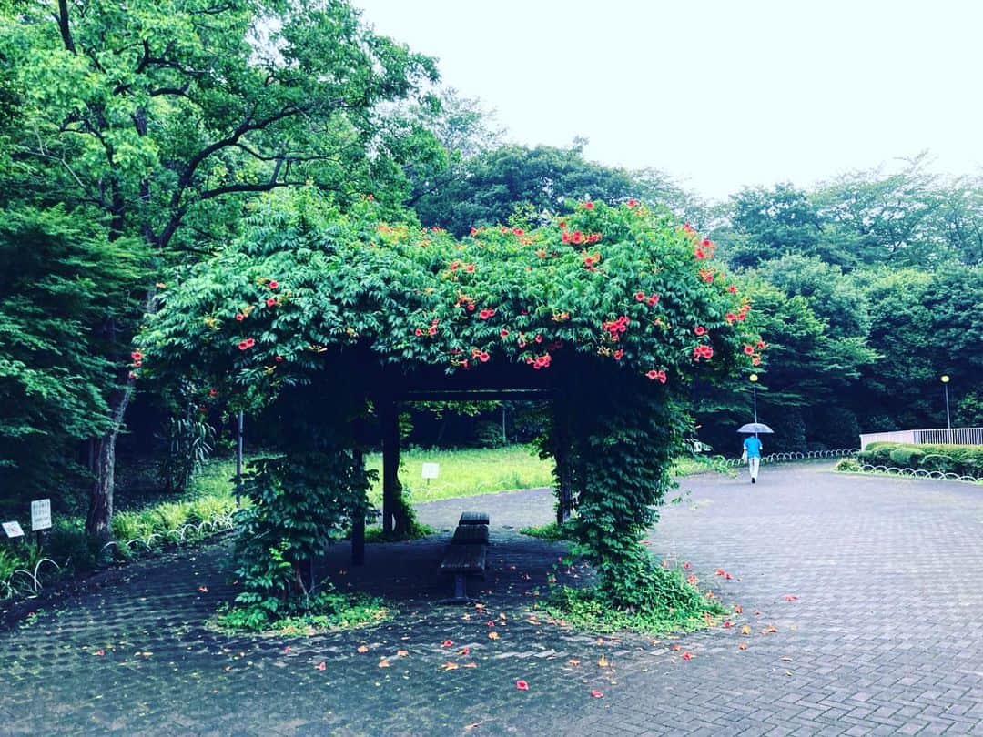 宇田川大輔のインスタグラム：「本日の昼ラン #昼ラン #running #城南エリア」