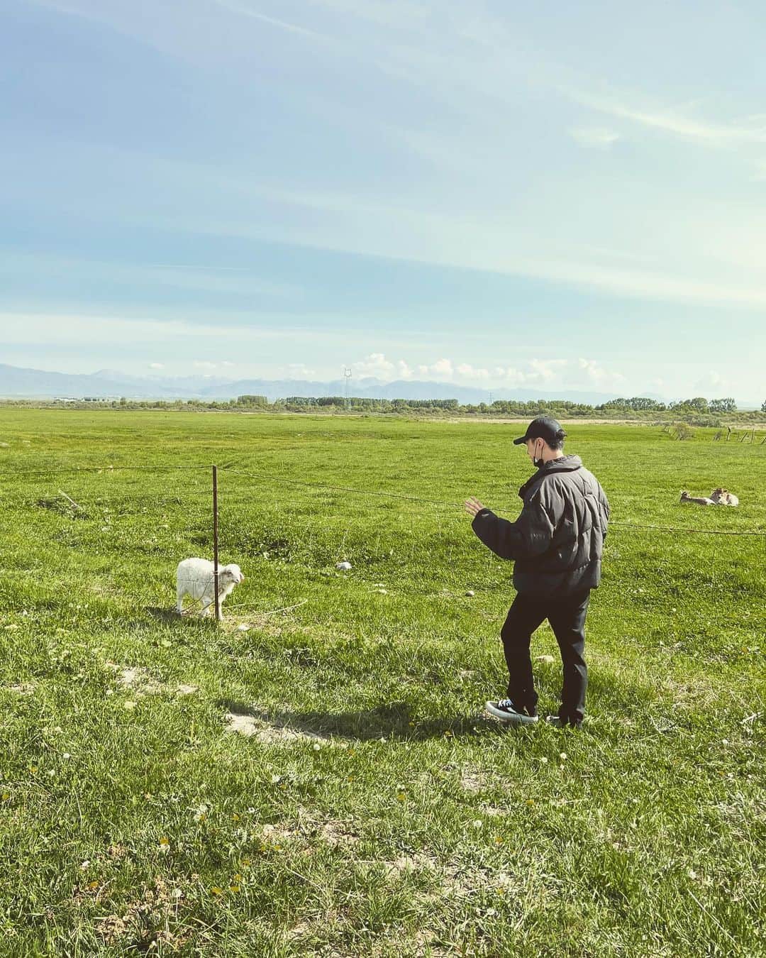 のインスタグラム：「Hi Sheep！ Let‘s make some 🔥」