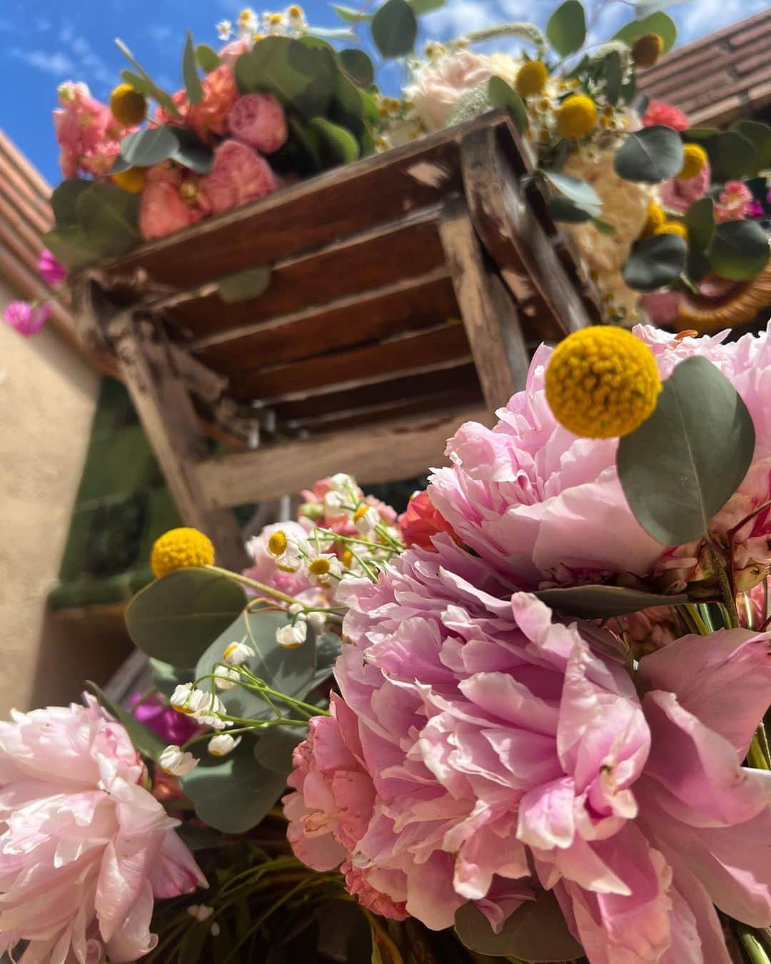 マディソン・ハベルのインスタグラム：「Thank you for all the well wishes! Estamos muy felices 🥰」