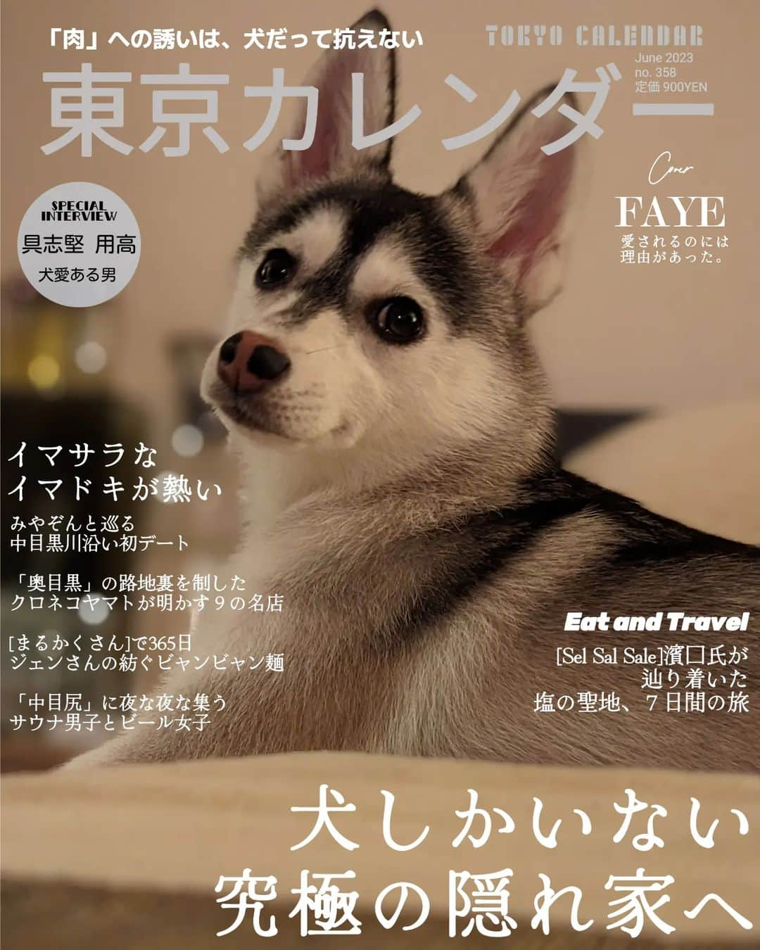 Yoshiko Kris-Webb クリス-ウェブ佳子のインスタグラム：「眠れなかった昨夜の遊びです。 #PawsomeDogFaye」