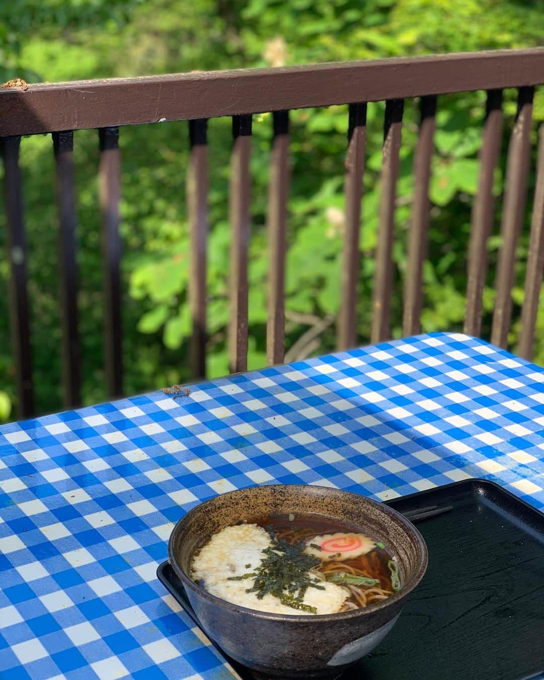 海下真夕さんのインスタグラム写真 - (海下真夕Instagram)「. 新録の季節🌿🌱🍃  5月のよく晴れた日に☀️ ハク　@hakuboy  初登山⛰🐕 （ほぼ抱っこかバッグだったけど）  『らんまん』の万ちゃんみたいだねーってお花や葉っぱを見ながら進んでたらいつもより時間かかっちゃったけど、楽しかった😊  山頂で食べるお蕎麦とお酒は最高🍻 持って行った珈琲を飲んだのも最高☕️ 空気も美味しい！ そして筋肉痛すら気持ちいい！  美味しいと気持ちいいをたくさん感じた日でした☺️  ハクおつかれさま🐶💤  #登山#5月#新録の季節 #高尾山#犬とのお出かけ #いぬのいる暮らし  #いぬのいる生活  #チワックス #休日」6月11日 9時24分 - kaigeworld