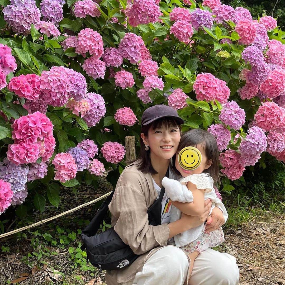 重長智子さんのインスタグラム写真 - (重長智子Instagram)「. . 季節の花を愛でたくなる年代に なりました☺️ . 牧之原市の大鐘家では、 35種類10000株以上のアジサイを 見ることができます🫶 . 珍しいアジサイも見られますよ🥰 2歳児を抱っこしながらだと 腕がパンパンになりましたが、楽しめました✨ . . そして、7.8枚目は 8年前に中継でお世話になった時の写真‼︎😂 わかっ‼︎笑　隣は、同期のディレクターさんです☺️ . . 今日から雨が続きそうです。 地盤が緩んでいる地域がありますので 注意、警戒してください。 . . #牧之原市 #大鐘家 #アジサイスポット #入場料は700円 #花に癒される年代 #ママアナウンサー #6歳 #男の子 #2歳 #女の子」6月11日 9時35分 - tomoko_shigenaga