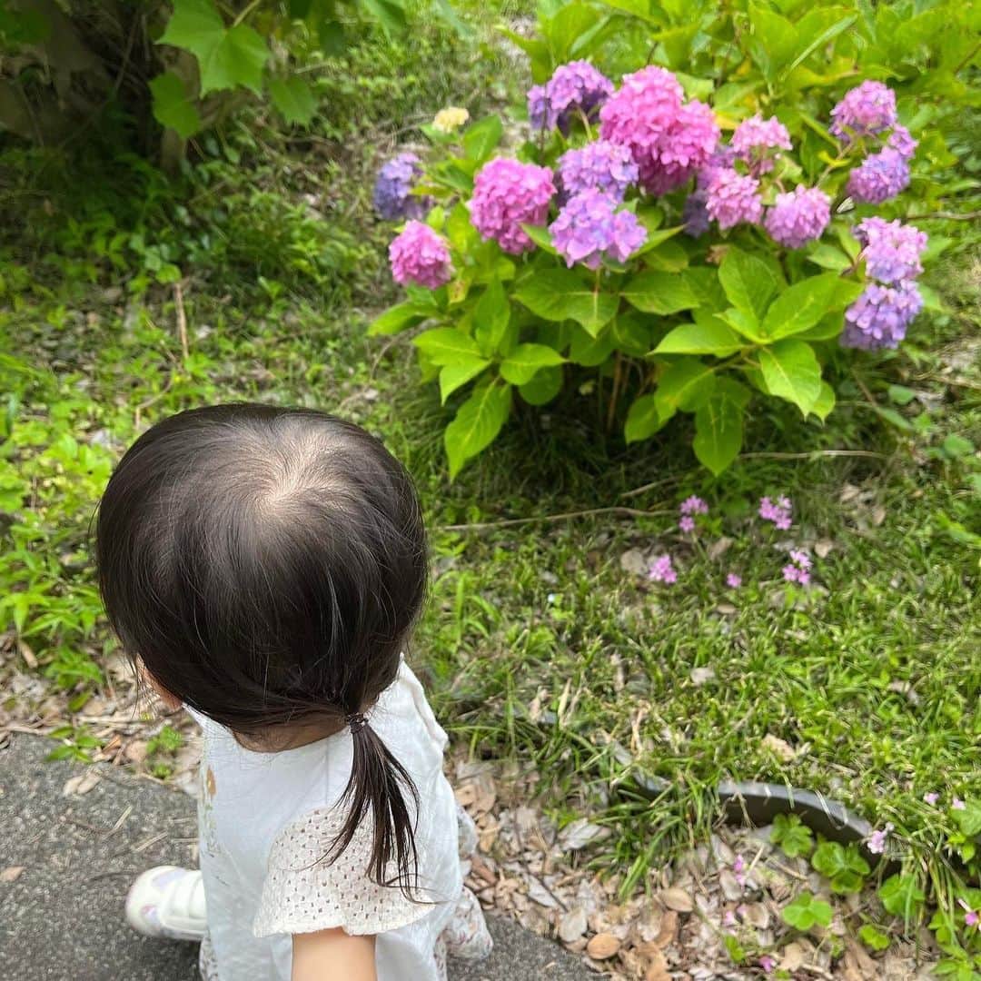 重長智子さんのインスタグラム写真 - (重長智子Instagram)「. . 季節の花を愛でたくなる年代に なりました☺️ . 牧之原市の大鐘家では、 35種類10000株以上のアジサイを 見ることができます🫶 . 珍しいアジサイも見られますよ🥰 2歳児を抱っこしながらだと 腕がパンパンになりましたが、楽しめました✨ . . そして、7.8枚目は 8年前に中継でお世話になった時の写真‼︎😂 わかっ‼︎笑　隣は、同期のディレクターさんです☺️ . . 今日から雨が続きそうです。 地盤が緩んでいる地域がありますので 注意、警戒してください。 . . #牧之原市 #大鐘家 #アジサイスポット #入場料は700円 #花に癒される年代 #ママアナウンサー #6歳 #男の子 #2歳 #女の子」6月11日 9時35分 - tomoko_shigenaga