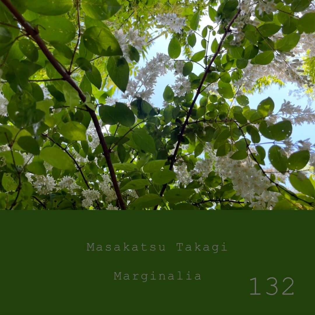 高木正勝のインスタグラム：「New recording at the beginning of rainy season.   薄紫のフジに続き、真っ白なウツギの虹が山中にかかっています。花も実も今年は生り年。朝早く目覚めたので、そのままピアノに。半分夢のなかにいるくらいが、ちょうどいい気もします。 高木正勝　マージナリア　#132 （bandcampにて。リンクはプロフィールにあります）」