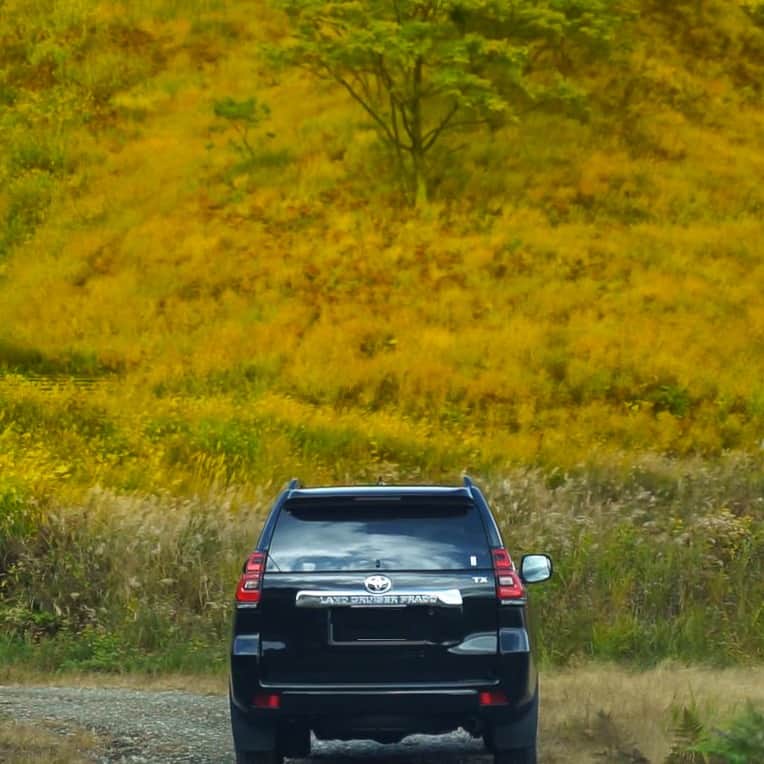 TokyoToyopet Girl meets carのインスタグラム：「🚗🌳 #プラド なら大自然の中でも 問題なく走ってくれます！ 安心感がありますね🫶  #トヨタモビリティ東京  #トヨタ  #TOYOTA #ランドクルーザープラド #SUV #キャンプ  #アウトドア  #クルマ好きと繋がりたい #トヨタグラム」