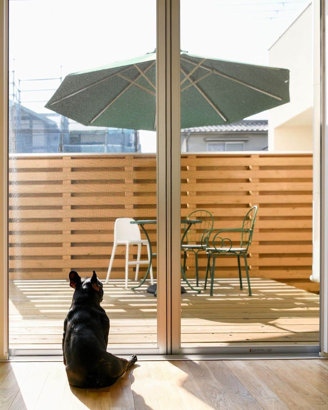 株式会社　三建さんのインスタグラム写真 - (株式会社　三建Instagram)「窓特集☁️  南側に窓をつけると日当たりが良くなると考えますが、日当たりだけを考えて窓を作るのは🙅‍♂️  日射取得と日射遮蔽のバランスを考えないと、日差しが強すぎて室温が上がりすぎたり、眩しすぎて、快適さが損なわれる可能性もあります。 また、日差しが入らなすぎると節約できるはずの照明や暖房費がかかります。  プライバシーの確保も大切ですし、風通しや外観との調和も考えないといけません。  もうひとつ、大切なのは窓からの景色☘️  窓から見た景色がきれいだと、きっと自分の家のことをもっと好きなると思います。」6月11日 18時30分 - sanken.official