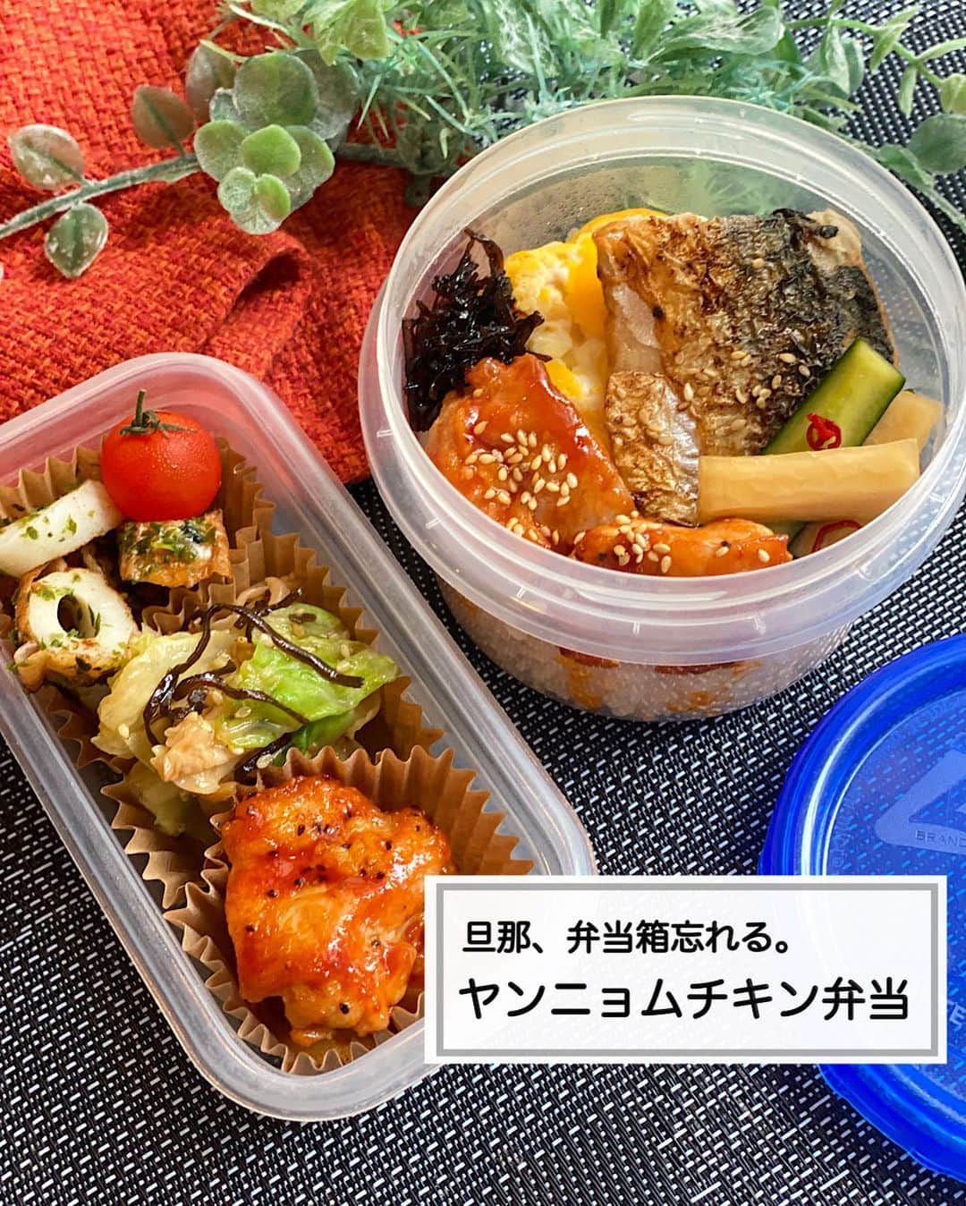 山本菜月のインスタグラム：「⁡ ⁡ ⁡ ⁡ ┈┈┈┈┈┈┈┈┈┈┈••✼ 旦那、弁当箱忘れる。 ヤンニョムチキン弁当 ┈┈┈┈┈┈┈┈┈┈┈••✼ ⁡ ⁡ ⁡ おはようございます☀️ なつき @zubora_meshi_ です🌼 ⁡ お弁当作りに慣れてきた、わたし。 お弁当作られるのに慣れてきた旦那、お弁当箱を忘れてきた〜！🙂🙃🙂 ⁡ 箱の予備がないのでタッパーで🙏 長方形と丸型のタッパーしかなく おまけに仕切りがないので苦戦しながらも 意外と詰めるのが楽しかった🤣✌️ ⁡ 今日は戒めに☜ 旦那の苦手な辛いおかずを入れました🙋‍♀️ (と見せかけて辛味控えめのレシピになっています笑) ⁡ あとは作り置きしておいたもので済まして 楽させてもらいました〜✨✨ ⁡ レシピ載せておくので 良かったらお試しくださいね😉！ ⁡ ⁡ ⁡ ｡.ꕤ⌒⌒⌒⌒⌒⌒ꕤ⌒⌒⌒⌒⌒⌒ꕤ.｡ ⁡ ⁡ ⁡ ■ヤンニョムチキン 【材料2人分】 鶏もも肉 300g 塩胡椒 少々 片栗粉 大さじ2 白ごま 適量 サラダ油 大さじ2 ★ケチャップ 大さじ1 ★みりん 大さじ1 ★砂糖 大さじ1 ★コチュジャン 大さじ1 ★しょうゆ 小さじ1 ★にんにくチューブ 小さじ1/2 ⁡ 【作り方】 ①鶏肉を一口大に切り 　塩胡椒をして片栗粉をまぶす。 ②★を合わせておく。 ③フライパンに油をひき①を揚げ焼きにする。 ④フライパンに油が残っていれば拭き取り 　★を絡め白ごまを振ったら完成。 ⁡ 【メモ】 鶏肉を揚げ焼きにする際は中火がベスト。 弱すぎるとベトベトになり 強すぎると火が通る前に焦げてしまいます。 コチュジャンはエスビー食品さんのものを使用しました。辛いものが苦手な方におすすめです。このコチュジャンを使うとレシピ通りに作っても辛さ控えめになります😌メーカーによってレシピ通りの分量でも辛味が変わるので、調整してください🙇‍♂️ ⁡ ⁡ ⁡ ＊＊＊ ⁡ ⁡ ⁡ ■やみつき塩昆布キャベツ 【2人分】 キャベツ小さめ 1/2個 ★塩昆布 大さじ3 ★ごま油 大さじ1 ★ニンニクチューブ 小さじ1/2 ★白ごま 大さじ1 塩 大さじ１ ⁡ 【作り方】 ①に水を入れ沸騰させ 　キャベツを入れ３０秒混ぜる。 ③②をザルにあげ 　サッと水で冷やしたら水気を絞り 　★を入れて和える。 ⁡ 【メモ】 キャベツはしっかり水気をしぼってから和える。 ⁡ ⁡ ⁡ ＊＊＊ ⁡ ⁡ ⁡ ■野菜のはりはり漬け 【小鉢4個分】 大根 4cm きゅうり 1本 ⚫︎ポン酢 大さじ3 ⚫︎めんつゆ(3倍濃縮) 大さじ3 ⚫︎塩昆布 2つまみ程度 ⚫︎鷹の爪 少々 (なくてもよい) 塩 適量 ⁡ 【作り方】 ①大根ときゅうりを太めの千切りにし 　塩を揉んで10分置く。 ②容器に⚫︎を合わせ良く混ぜ 　水気を切った①を入れ 　冷蔵庫で約1時間冷やす。 　水分増しますが、途中かき混ぜると良いです。 ⁡ 【メモ】 大根は皮を剥いても剥かなくても◎ 葉がついている方(上)を使用しました。 めんつゆは2倍濃縮で大さじ4/1です。 長く漬け込むほど味が濃くなります。 ⁡ ⁡ ⁡ ＊＊＊ ⁡ ⁡ ⁡ ■ちくわのマヨネーズ焼き 【材料1〜2人分】 ちくわ 2本 マヨネーズ 小さじ1と1/2 青のり 適量 ⁡ 【作り方】 ①ちくわをななめに適当な幅で切る。 ②フライパンにマヨネーズをひき 　ちくわを両面焼き色が付くまで炒める。 ③青のりふりかけてさっと炒め、完成。 ⁡ ⁡ ⁡ ｡.ꕤ⌒⌒⌒⌒⌒⌒ꕤ⌒⌒⌒⌒⌒⌒ꕤ.｡ ⁡ ⁡ 最後までご覧頂きありがとうございます。 是非、食レポを聞かせてくださると嬉しいです♡ ⁡ ＊NATSU KITCHEN ＊」