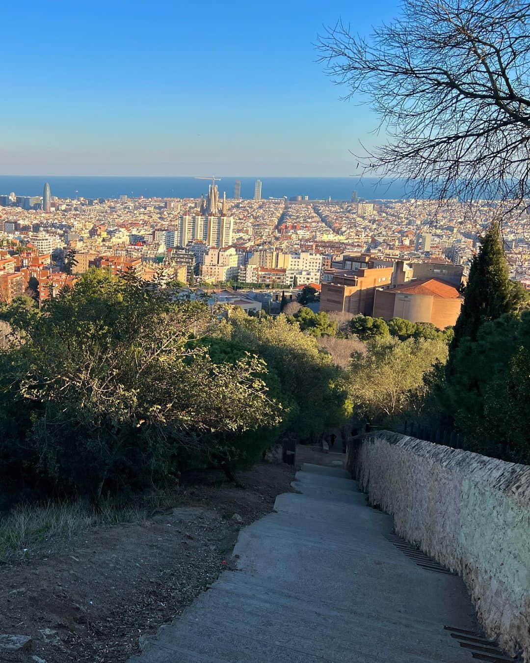 山崎怜奈さんのインスタグラム写真 - (山崎怜奈Instagram)「🇪🇸March, 2023  📍Barcelona, Cataluña, España グエル公園、カタルーニャ美術館  "モザイクタイルで有名なグエル公園は丘の上にあり、何百段もある階段をひたすら上っていく。そこからさらに上へと目指しているうちに、バルセロナの街が夕焼け色に傾いていくのを背中越しに感じた。市街の中で突出して大きいサグラダ・ファミリアや、赤い屋根の家とビル群のコントラスト、そのすべてを包み込むように広がる地中海を、この高台からは一望に収めることができる。……"  ◾️続きはエッセイ連載にて✍🏻 「思い立ったが吉日旅inスペイン」 https://hanako.tokyo/feature/feature-374140/ 　  #Barcelona #Spain #españa #ParcGüell #ParkGuell #MuseoNacionaldeArtedeCataluña #思い立ったが吉日旅 #スペイン #スペイン旅行 #サグラダファミリア #山崎怜奈」6月11日 10時34分 - rena_yamazaki.official