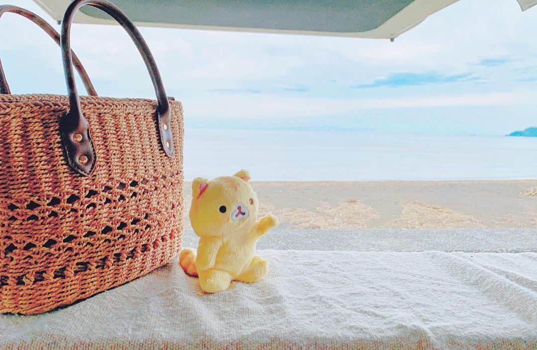 川奈栞さんのインスタグラム写真 - (川奈栞Instagram)「On a short trip away from Tokyo.  ひさびさコロニャ🐱❤️ ⠀ #plushie #plushiesofinstagram #plushiecommunity #corocorocoronya #ころころコロニャ」6月11日 11時22分 - nyankee_coronya