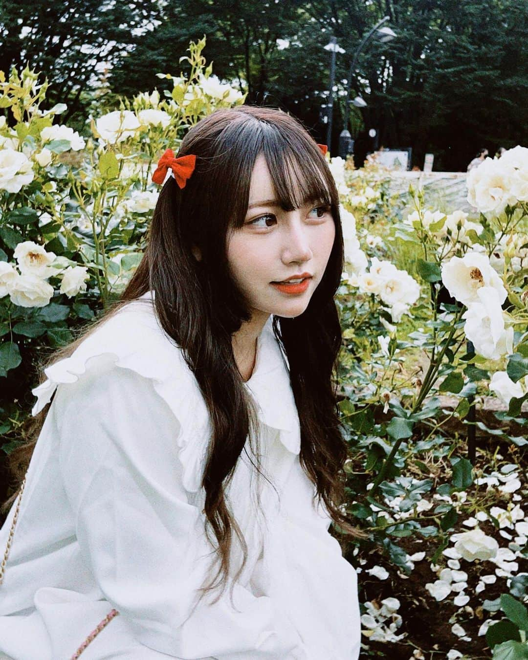 ゆらのインスタグラム：「‪✿   代々木公園の白薔薇に合わせて白ワンピースᐢ ܸ. ̫ .ܸ ᐢ♡  紫陽花も合ったよ 梅雨で湿気嫌だけど花可愛いので︎👍🏻 ̖́-  夏はひまわり見に行きたい🌻´-  黄色の服着て( ˙³˙)~♪」