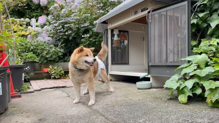 Ryujiのインスタグラム