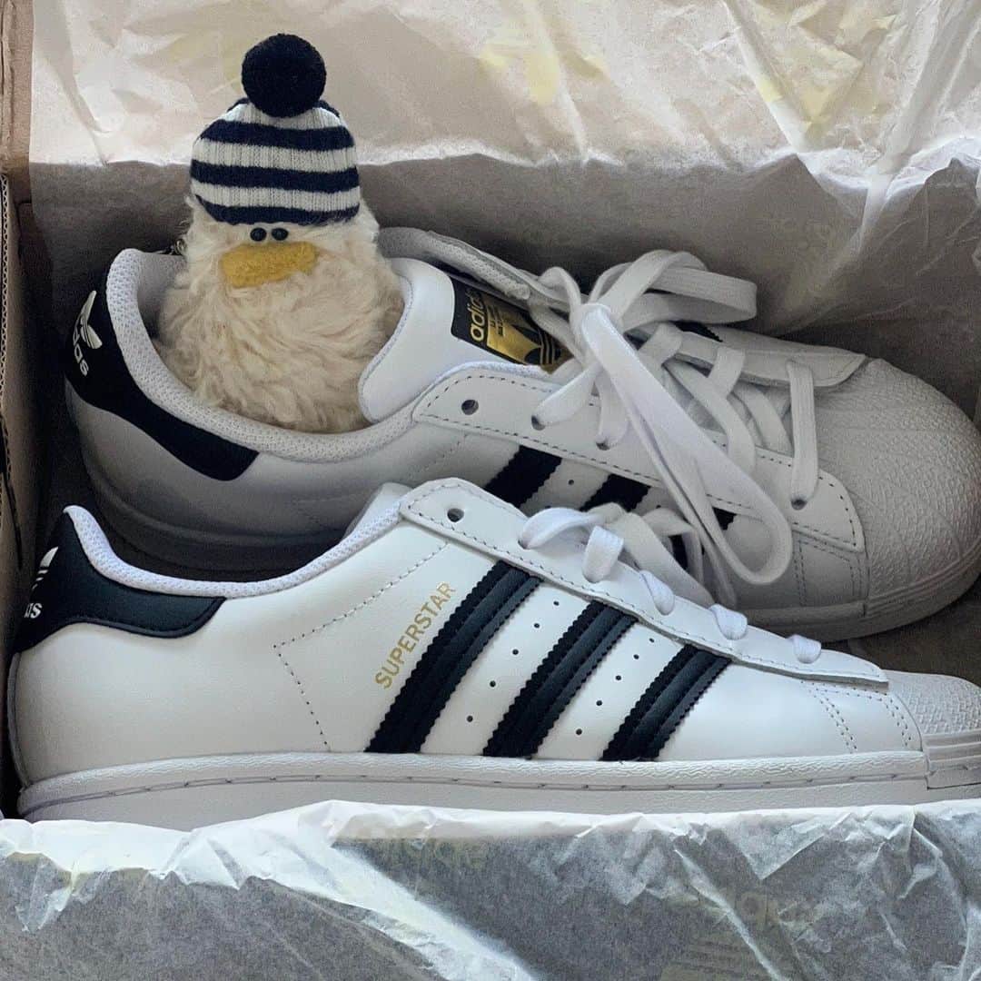 のインスタグラム：「.  @adidas 👟  #adidas  #adidassuperstar」
