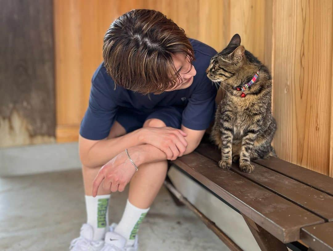 松岡卓弥さんのインスタグラム写真 - (松岡卓弥Instagram)「🐈猫と卓弥🧑 かわいい😍  #猫#cat#可愛い#癒し#cute#にゃあ#ニャー#きゃわ」6月11日 13時17分 - takuya_matsuri