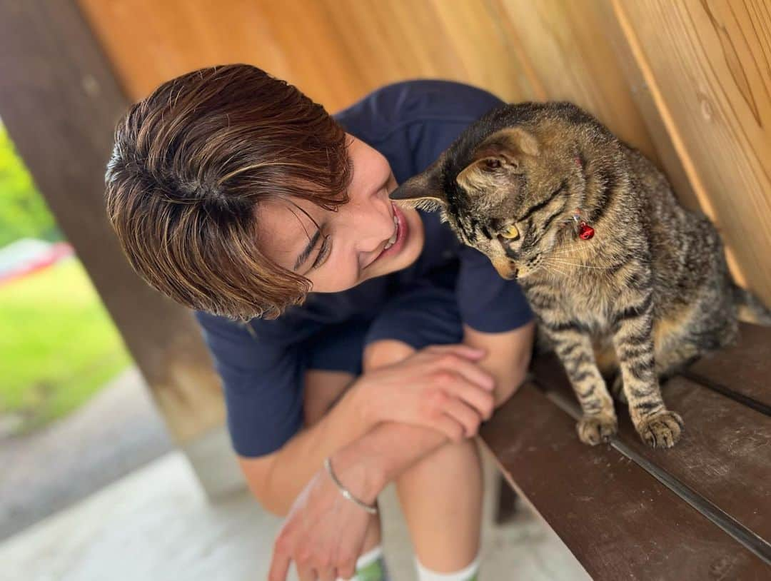 松岡卓弥さんのインスタグラム写真 - (松岡卓弥Instagram)「🐈猫と卓弥🧑 かわいい😍  #猫#cat#可愛い#癒し#cute#にゃあ#ニャー#きゃわ」6月11日 13時17分 - takuya_matsuri