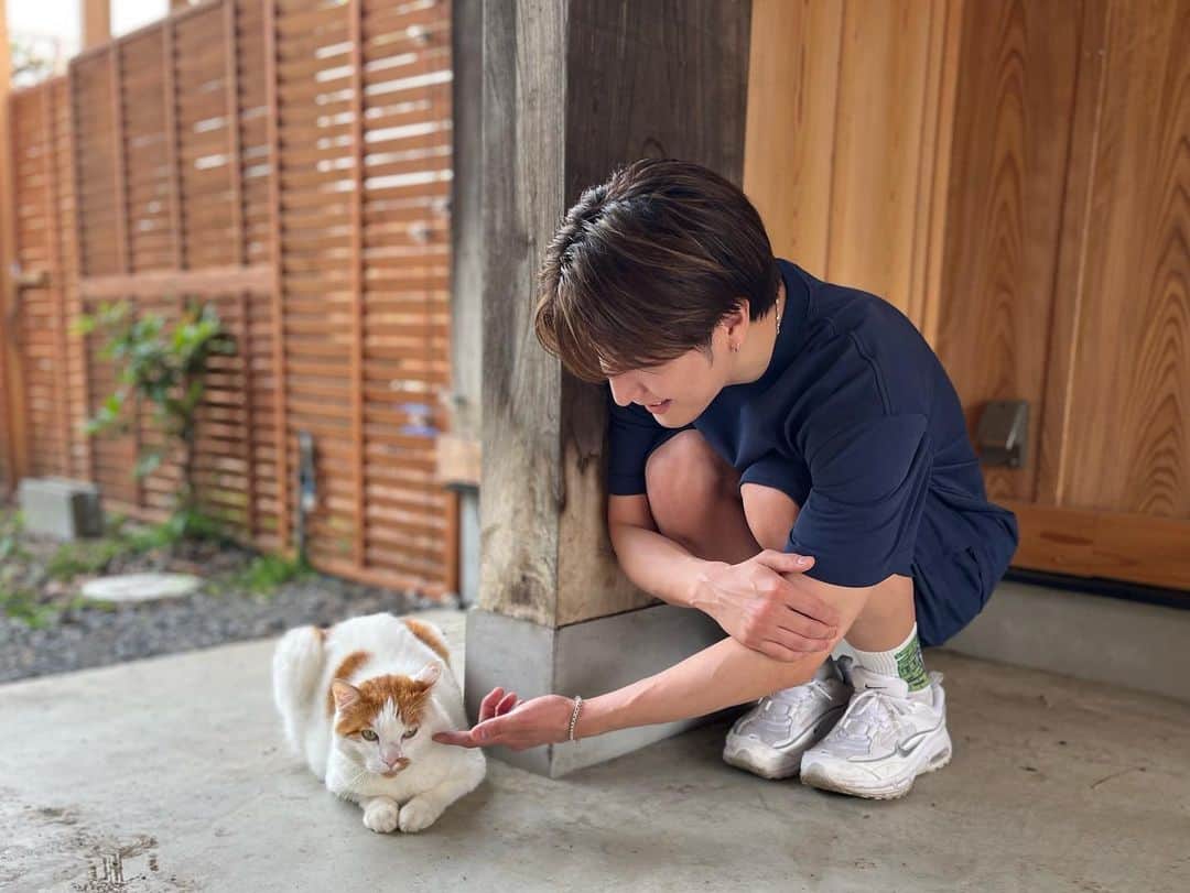 松岡卓弥さんのインスタグラム写真 - (松岡卓弥Instagram)「🐈猫と卓弥🧑 かわいい😍  #猫#cat#可愛い#癒し#cute#にゃあ#ニャー#きゃわ」6月11日 13時17分 - takuya_matsuri