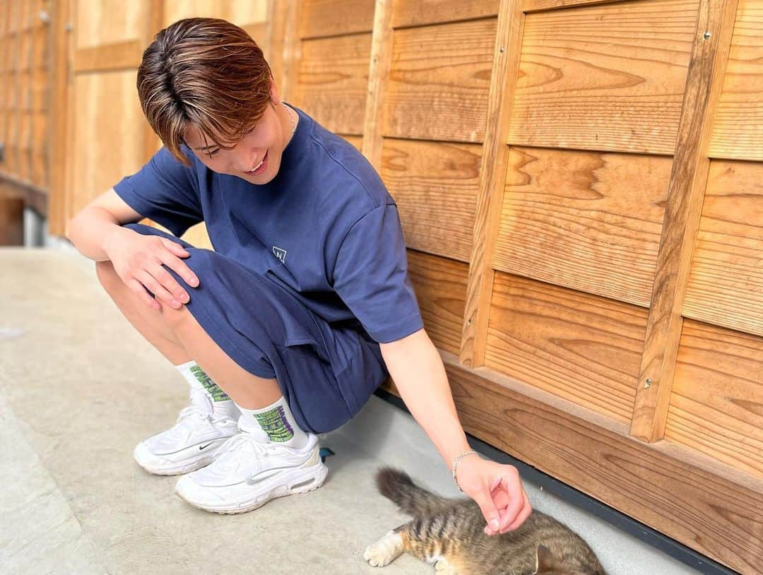 松岡卓弥さんのインスタグラム写真 - (松岡卓弥Instagram)「🐈猫と卓弥🧑 かわいい😍  #猫#cat#可愛い#癒し#cute#にゃあ#ニャー#きゃわ」6月11日 13時17分 - takuya_matsuri