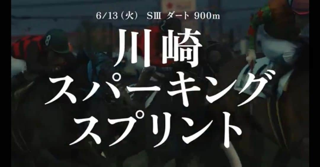 犬づかまさおさんのインスタグラム写真 - (犬づかまさおInstagram)「川崎競馬。 来週の6/13・14は【川崎スパーキングスプリント】【関東オークス】の二本立て！ 私も応援させて頂きます！！」6月11日 13時20分 - masaoradio