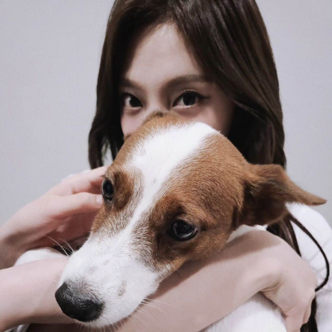 ヒチョルさんのインスタグラム写真 - (ヒチョルInstagram)「주인을 버린 기복이🐶🐕 . . #aespa #아는형님」6月11日 14時10分 - kimheenim