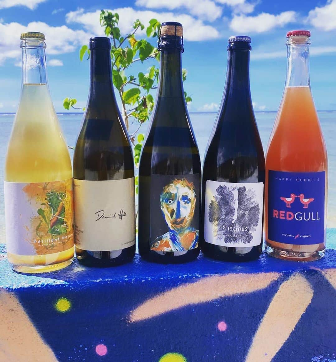 山本美憂のインスタグラム：「🍷 WINE TASTING @noriloungeguam   #NoriLoungeGuam  #naturalwine  #nattywine  #Guam」