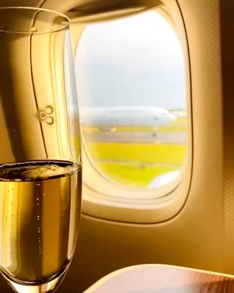のインスタグラム：「Take your seat. Smile, there's bubbly.  #thaiairways #smoothassilk #iflythai #magicaljourney #service  #onboardingexperience」