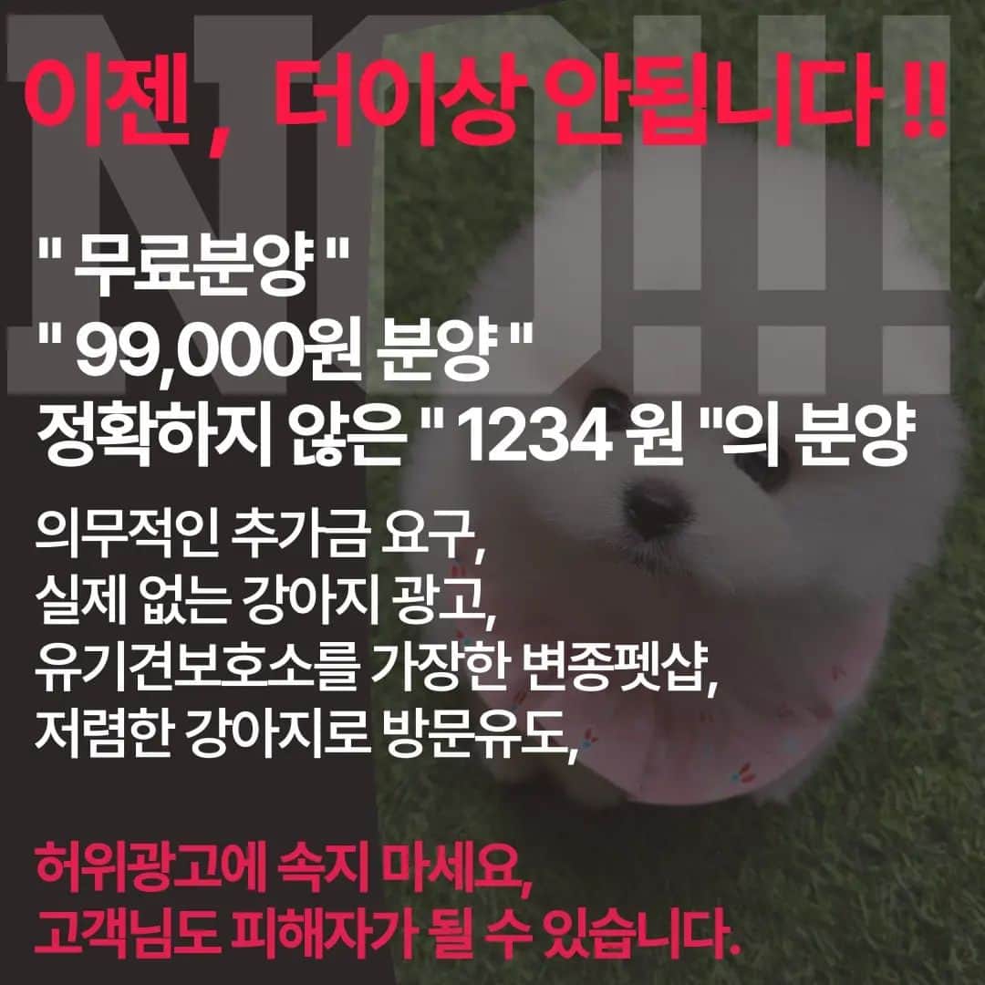 のインスタグラム：「요즘 사기분양이 많아지고 있습니다 또한 문제있던 펫샵들이 폐업 후 다른곳에 다시 오픈하고 있으니 잘 알아보신 후 신중하게 결정히실길 당부 드립니다  #신종펫샵 #허위분양 #사기분양 #강아지분양  #신종펫숍 #신종펫샵금지 #신종펫숍_주의보」