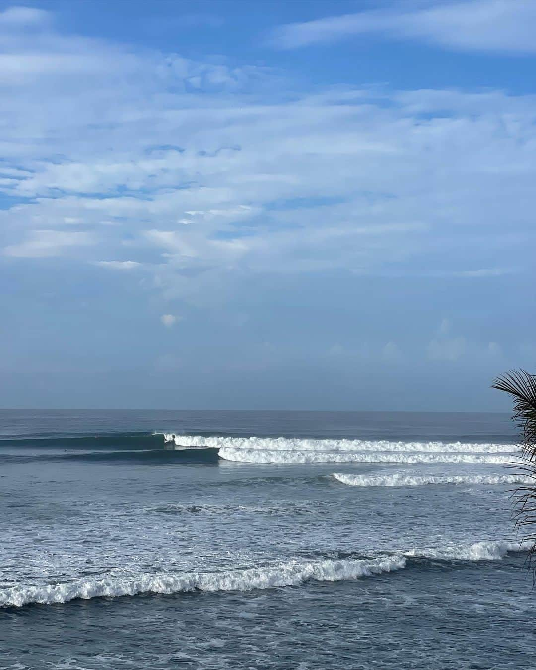 松田詩野さんのインスタグラム写真 - (松田詩野Instagram)「ISA world surfing games 2023🎞️ @naminori_japan のチーム皆んなに刺激をもらって毎日楽しかった！一丸となって戦ってくれたチームの皆さんありがとうございました🦋🇯🇵💫🫶」6月11日 15時41分 - shinomatsuda