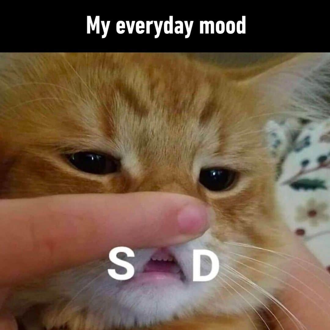 9GAGのインスタグラム