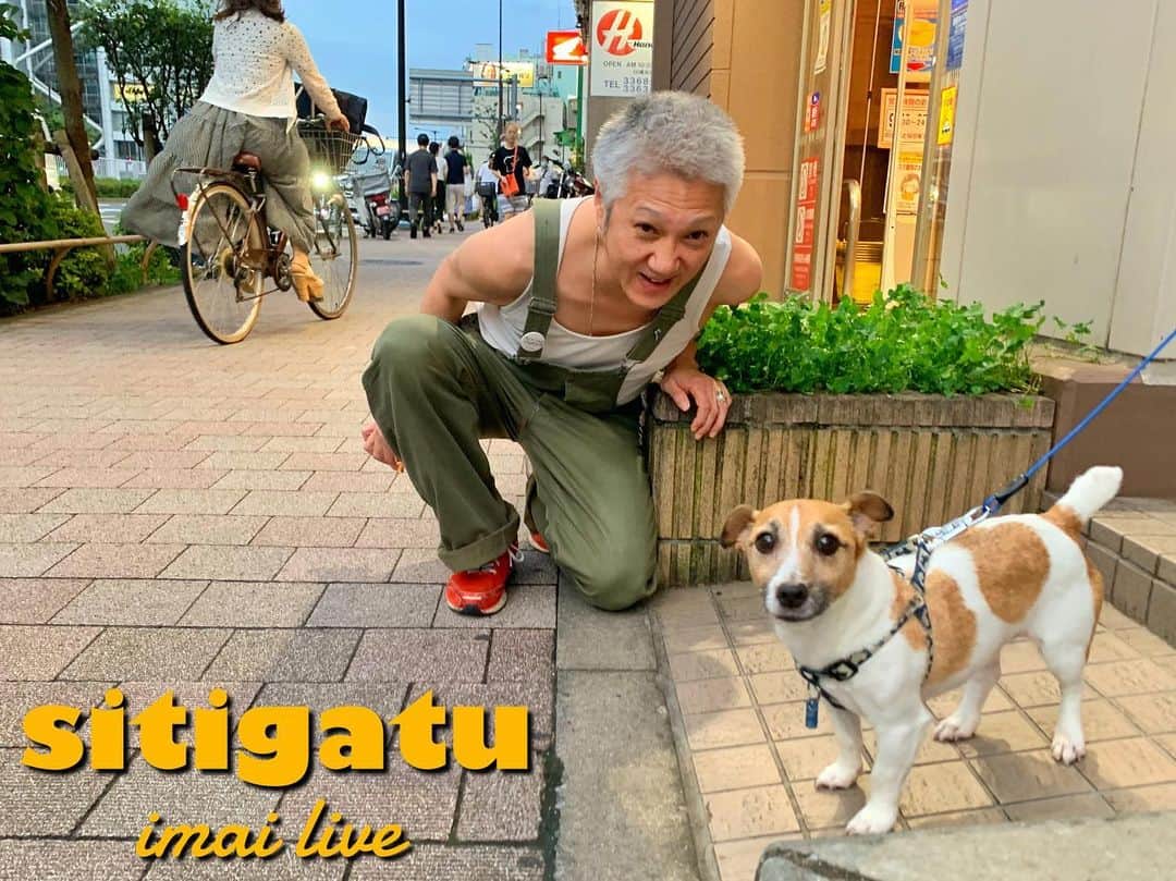 イマイアキノブのインスタグラム：「𑁍 イマイ ７月の演奏  ♣︎7.8(土) @ KAVACH⚡︎YA 新宿  『君と逢う新宿』vol.51  独演 イマイアキノブ  開場 18:30 開演 19:00 ¥3000＋飲物代  予約 kavachya.yoyaku@gmail.com  問い KAVACH⚡︎YA  新宿区歌舞伎町2-9-18 ライオンズプラザ新宿2F ☎︎03 6233 8677 @kavachya  ーーーーーーーーーーーー ♣︎7.16(日)『イマイアキノブ × 酒場スワロウ × LITHIUM』  🔶同日 二会場で開催 🔷公演会場は LITHIUM～酒場スワロウの順です  @ 酒場スワロウ 【SOUL BOND vol.6】  LIVE イマイアキノブ MITCH-MAN  黒沢アキト フォアボール石井 シーサー  DJ イトー・コージ P.O.P HALUO JINPEI MASAKAZU のぼやん SUGIYAMA  漫談 DNA 池上  OPEN 16:00 START 20:00予定  ¥3000 別途飲物代 当日限り特別フード有り  問い 酒場スワロウ 郡山市駅前1-9-4 小林ビル1F ☎︎024-983-6262 @swallow_963  ☆ ☆ ☆ ☆ @ LITHIUM 【イマイアキノブ独演会】  OPEN 17:30  START 18:00  ¥2500  別途飲物代  問い LITHIUM  郡山市清水台1-6-19 八幡第一ビル205 ☎︎024-955-6008 @lithium_koriyama   🔶️【イマイアキノブ独演会】の半券持参で 【SOUL BOND vol.6】@ 酒場スワロウ 入場無料 ーーーーーーーーーーーー ♣︎7.22(土) @ RUBY’S ARMS 千駄木  ～live acoustic～ 『夜は物の影が溶けてできたソース』  出演 イマイアキノブ 鈴木純也  開場 17:00 開演 18:00  ¥3000 ＋ 1drink & 1plate order  予約  E-mail↓ hellki77@hotmail.com 問い Music Pub ”Ruby's Arms” ☎︎ 03 3822 1454 文京区 千駄木 3-33-12  千駄木 B2出口  徒歩30秒 @rubysarms  ーーーーーーーーーーーー ✺ “BIC3 TOUR” 長野 大阪 名古屋  出演  下山淳  山本久土  イマイアキノブ  ♣︎7.28(金) @ 長野 CULT 開場18:30  開演19:00 ¥5000 別途飲食代  予約 問い CULT(カルト) 長野市権堂町2242-1 1F ☎︎080-9688-7386 @cult.1028  ☆ ☆ ☆ ☆ ♣︎7.29(土) @ 大阪 épice CAFE  開場17:00 開演18:00 ¥5000 別途飲食代  予約 問い épice CAFE 大阪市北区中崎2丁目4-12 エスコート中崎105 ☎︎06-6867-9937 @epicetetsu  ☆ ☆ ☆ ☆ ♣︎7.30(日) @ 名古屋 ROLLING MAN  ☆ゲスト DJ Charlie(nob3)  開場17:00 開演18:00 ¥5000 別途飲食代  ✴︎前売り予約について  予約期間内でも 予定枚数になり次第終了します  前売り予約アドレス tststs24786@gmail.com   件名に 【7/30 BIC 3 名古屋 前売り予約】 と記入し 氏名(フリガナ) 電話番号 枚数をご連絡ください 折り返し予約受付についての 確認メールを返信します こちらからの確認メールが 届きましたら予約が完了となります。  メールの受信拒否設定をされている場合 予約についての確認メールを返信できません 必ず tststs24786@gmail.comからの  受信設定をお願い致します  予約 問い 高比良興行 tststs24786@gmail.com 会場 ROLLING MAN 名古屋市中区錦2丁目14-6 SERAXビル5F ☎︎ 080 8045 0567 @rollingman41   #イマイアキノブ #livemusic」