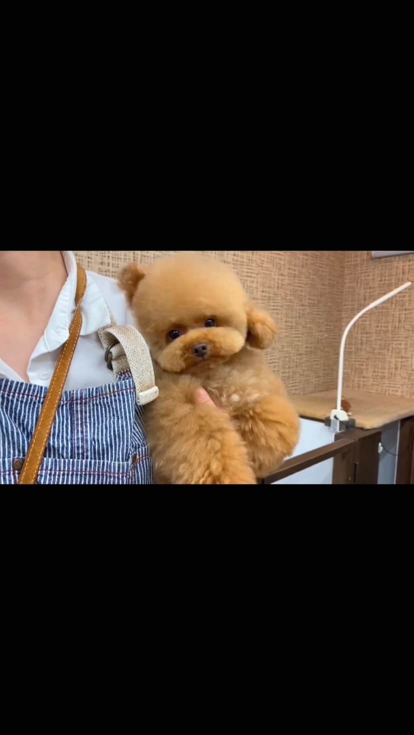 しらす先輩のインスタグラム
