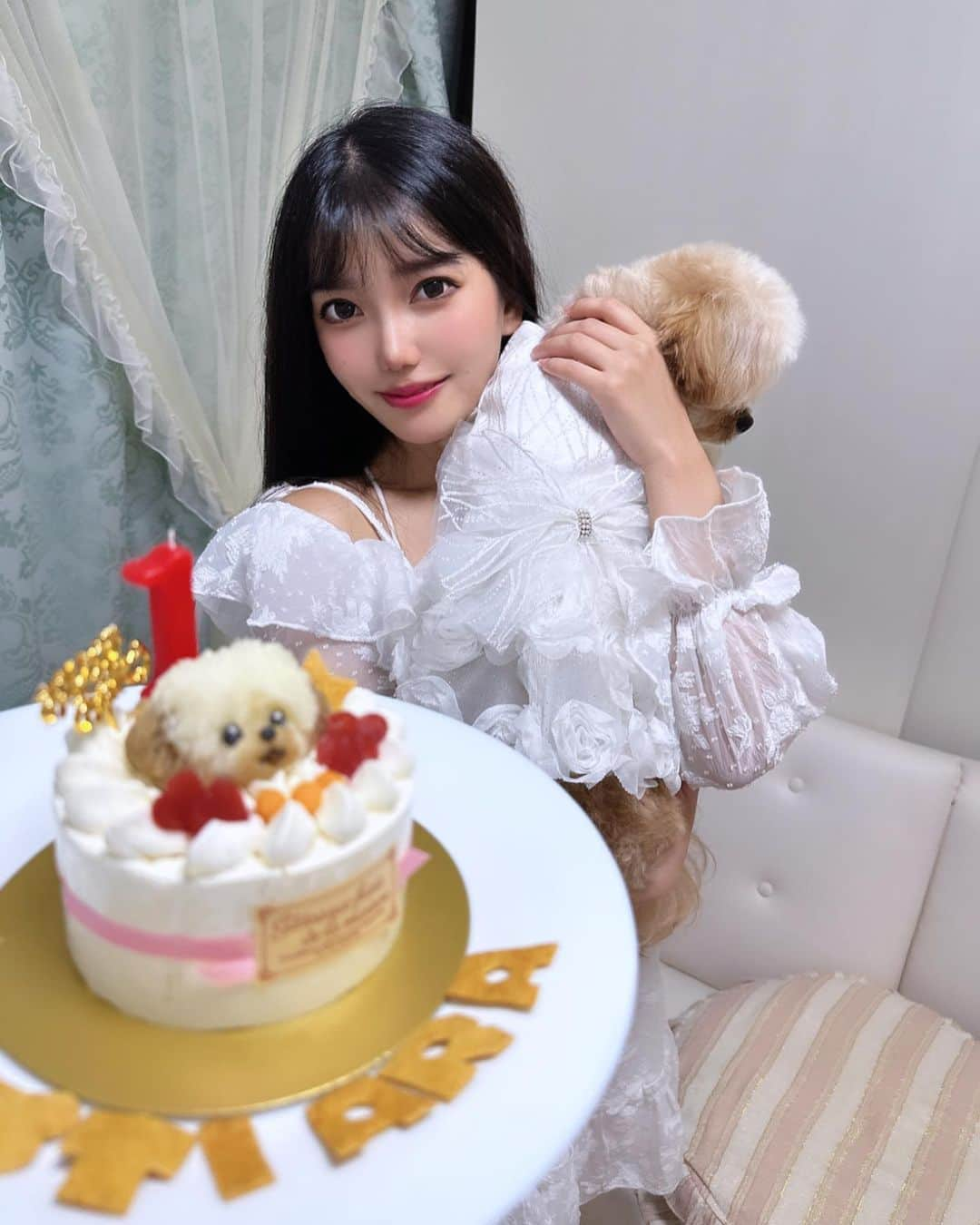 比嘉こころのインスタグラム：「今日6/11は ティアラ1歳の誕生日🎂👑💗  雨の日は食欲ないのに ケーキめちゃくちゃ食べてくれて 良かった🥺✨  やっぱりまだ落ち着きなくて 写真は全然上手く撮れないけど🤣  多忙過ぎてもうダメだ…って なりかけても ティアラのお陰でいつも 頑張れてる💕 # もともと犬嫌いで 色も白で純犬探してたのに 全然違うこの子に 惹かれたのが不思議😌  犬なのに静かで、犬嫌いで 心配性でどこでもついてきたり 寝れなかったり私の分身かと 思ったりもする🤣  本当に出逢えて良かった！ まだまだ飼い主として未熟だけど もっと頑張るね！ 末永くよろしくね🥹❣️  #ペキプー #ペッツファースト #ペッツファーストバースデー  #犬のいる暮らし  #小型犬 #犬の誕生日 #わんちゃん #誕生日 #幸せ」