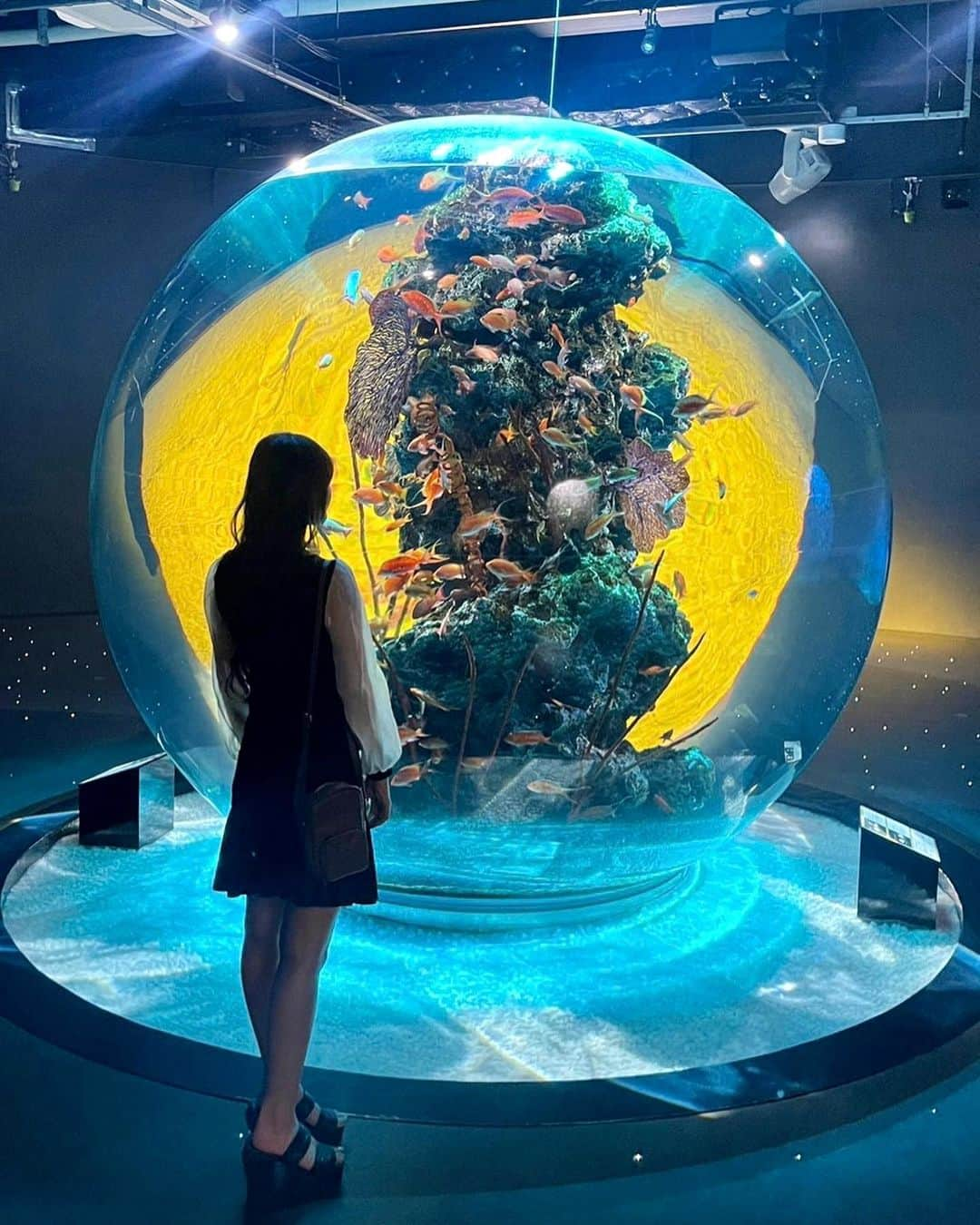 岡本怜奈さんのインスタグラム写真 - (岡本怜奈Instagram)「♡ átoa°･🐠🪐 ⁡ アクアリウムとアートが融合していて、部屋ごとに香りが違ってたり、光とか音楽も素敵で癒されたよ🫧 ♡ ♡ #atoa #アトア #神戸 #神戸観光 #神戸水族館 #水族館  #都市型水族館 #兵庫 #兵庫観光 #アクアリウム #アート  #추천 #팔로우 #셀카 #05 #05년생 #고등학생」6月11日 19時27分 - renatan1222