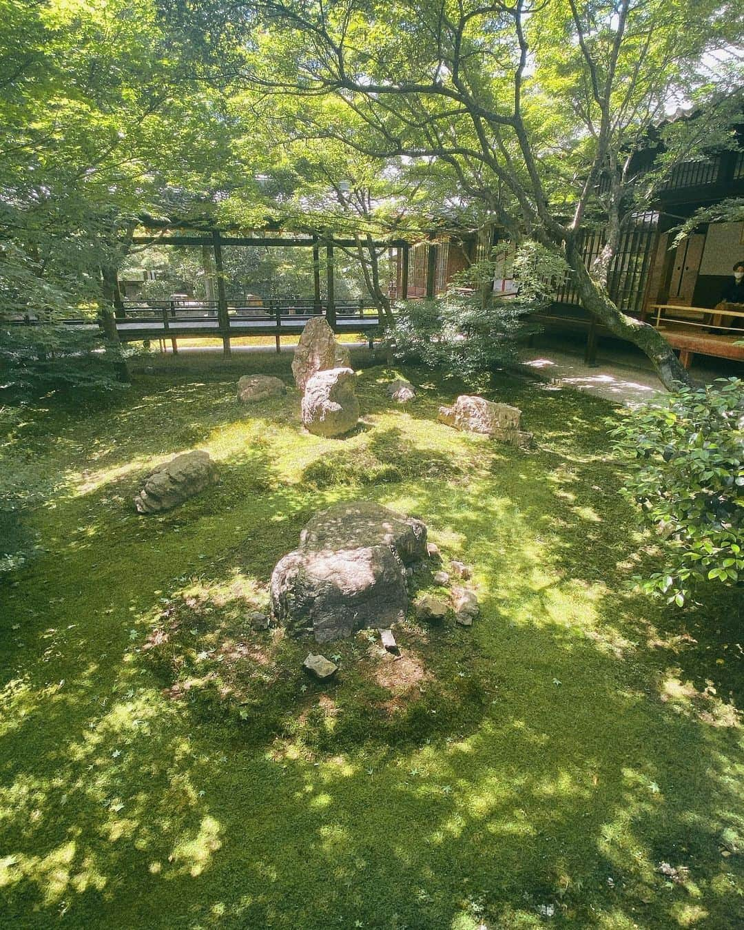 鎌田梢のインスタグラム：「大阪京都の旅② 嵐が過ぎ去って快晴☀️最高の気候で #建仁寺 行けてよかった。あー…京都きたなーーのチルタイムでした。 #京都の旅」