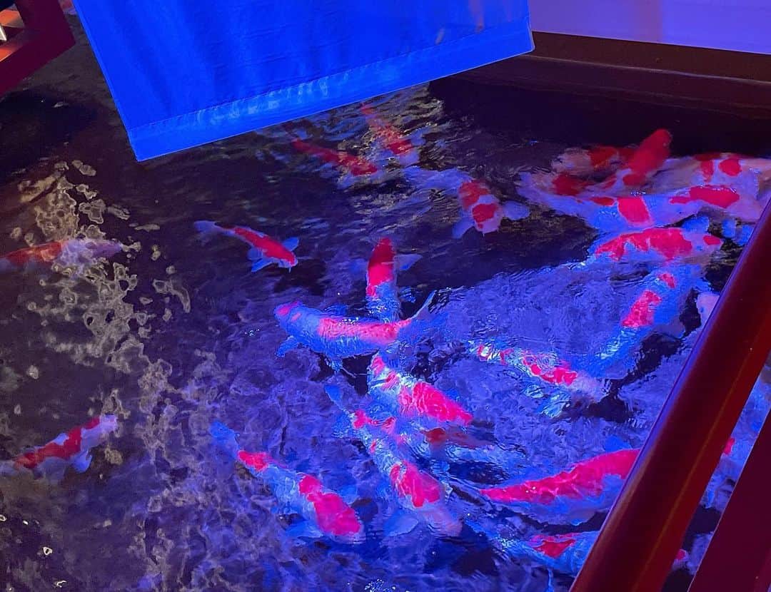 岡本怜奈さんのインスタグラム写真 - (岡本怜奈Instagram)「♡ 𓂃𓈒𓏸🐠🪸 この部屋の雰囲気と香りが1番好きやった🫧 ♡ ♡ #atoa #アトア #神戸 #神戸観光 #神戸水族館 #水族館  #都市型水族館 #兵庫 #兵庫観光 #アクアリウム #アート  #추천 #팔로우 #셀카 #05 #05년생 #고등학생」6月11日 19時29分 - renatan1222