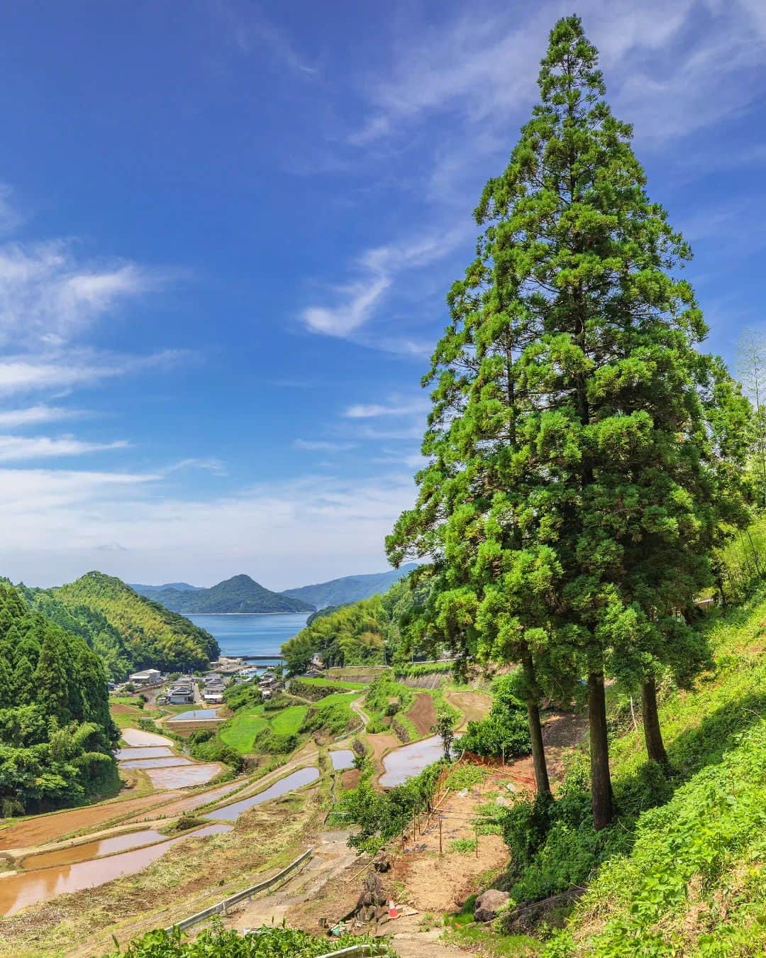 鹿児島よかもん再発見のインスタグラム