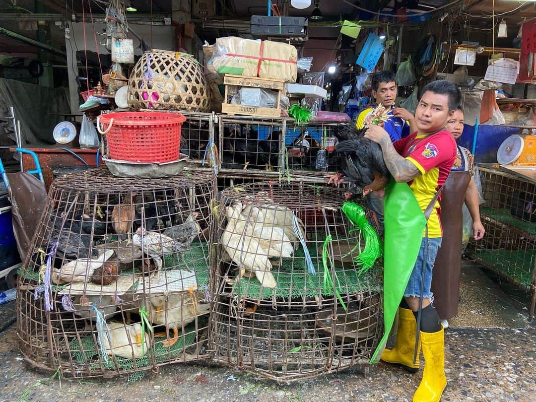 荒尾茉紀さんのインスタグラム写真 - (荒尾茉紀Instagram)「子ども達が可愛かった💕人々の生活が垣間見えるローカル市場😊🇹🇭  #鶏にはビックリ #野菜のお兄さんの笑顔もいい #クロントーイ #タイ #ローカル市場  #thailand #bangkok #khlontoei  #market #local #cutechild」6月11日 19時51分 - maki.arao