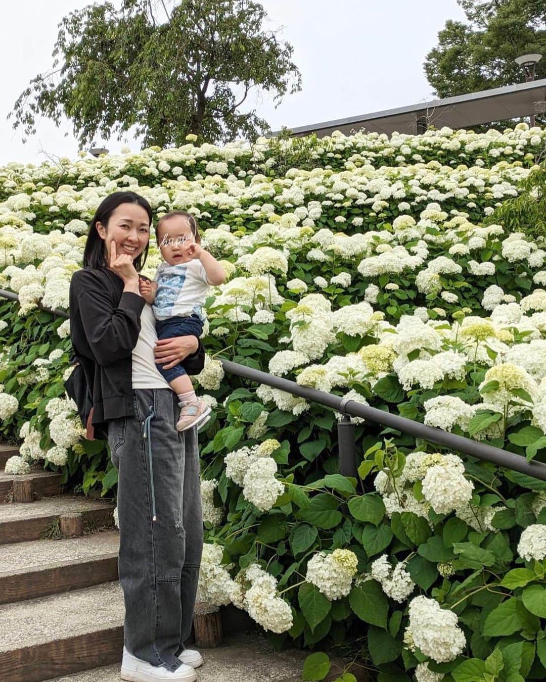 徳重杏奈さんのインスタグラム写真 - (徳重杏奈Instagram)「💠 階段の両側に白い紫陽花が広がる シンボルプロムナード公園。 ⁡ とても綺麗だったので 母と行った二日後にお友達とも 見に行きました☺️ ⁡ 最近はお友達の名前を言えるようになり いないときも楽しそうに連呼しています🗣️ ⁡ ⁡ ⁡ #シンボルプロムナード公園  #紫陽花 #あじさいの階段」6月11日 20時00分 - anna.tokushige