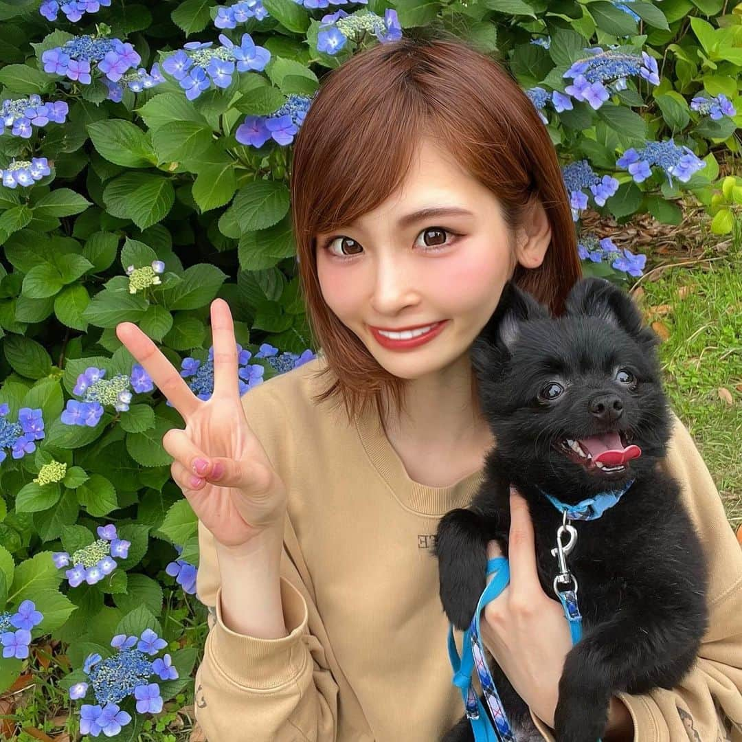 ひなぴーまるのインスタグラム