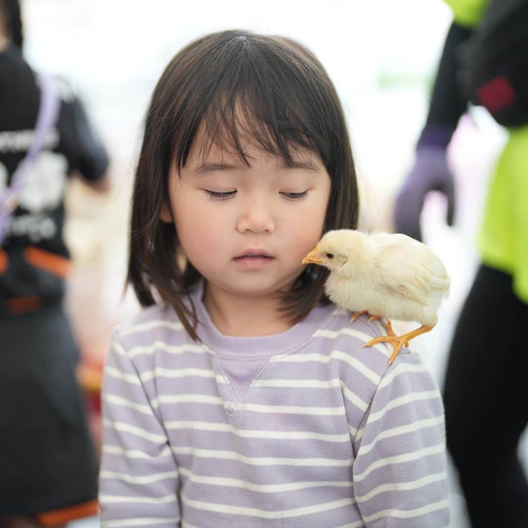 きりのさんのインスタグラム写真 - (きりのInstagram)「移動型動物園が来てくれました🐍💕  終始ニコニコな桐乃と 怖くて入れずな宗介笑  #移動型動物園 #ベビスタグラム #爬虫類女子」6月11日 20時20分 - kirino0808