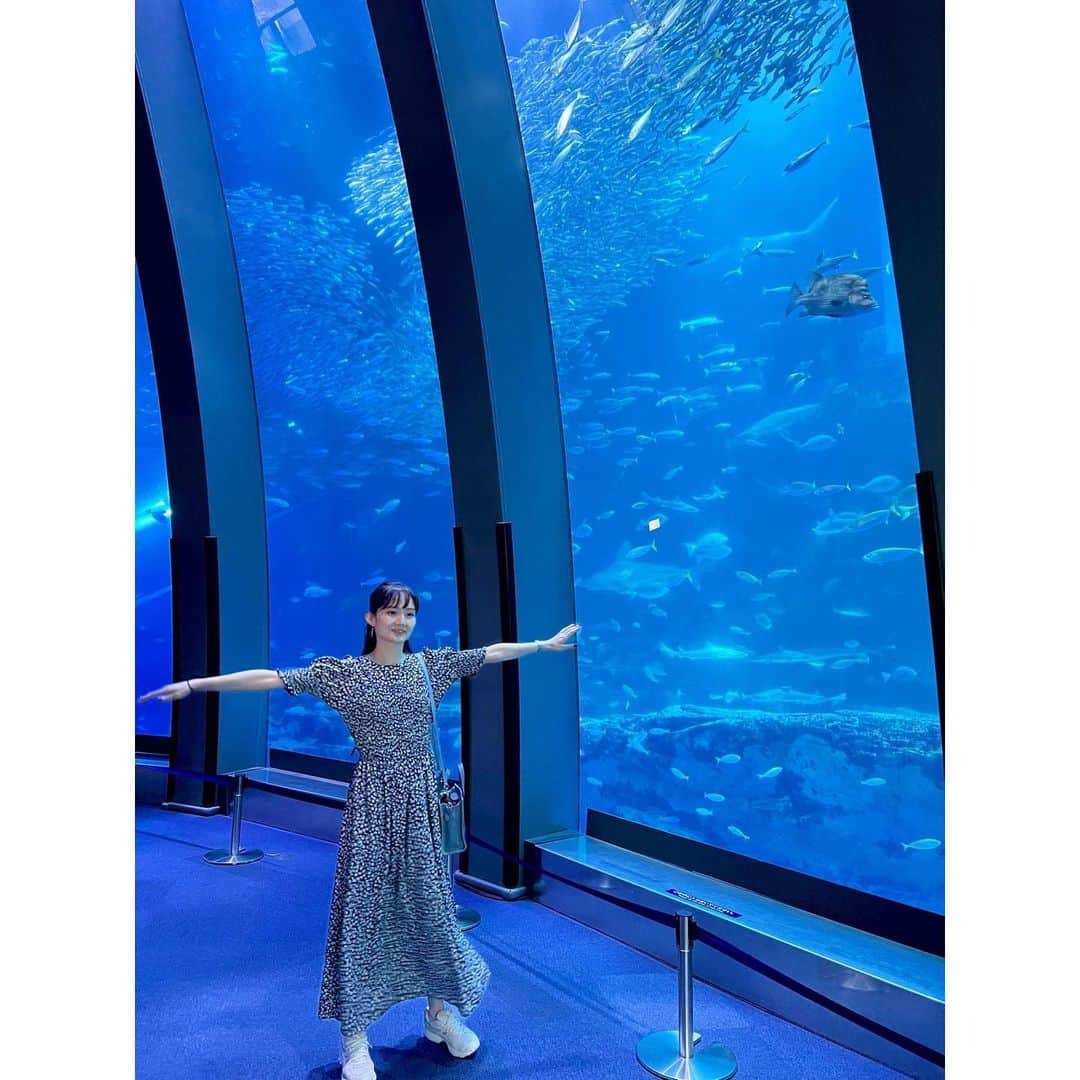 伊藤友季子さんのインスタグラム写真 - (伊藤友季子Instagram)「🐬🩵🫧  記憶にないくらい久しぶりのシーパラ🏝️  可愛いピンクの子を連れて帰って ペー子と名付けました🩷 お腹に手を入れられるところが 気に入ってる🐧 　 動画はリールにします♩ 　 　 #seaparadise #シーパラダイス #水族館」6月11日 20時39分 - yukiko_xx