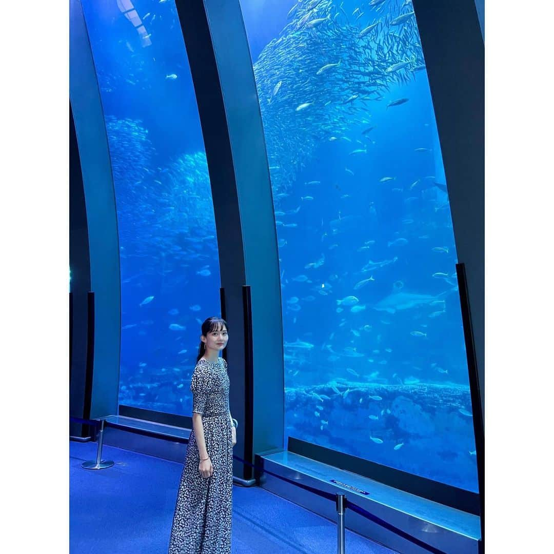 伊藤友季子さんのインスタグラム写真 - (伊藤友季子Instagram)「🐬🩵🫧  記憶にないくらい久しぶりのシーパラ🏝️  可愛いピンクの子を連れて帰って ペー子と名付けました🩷 お腹に手を入れられるところが 気に入ってる🐧 　 動画はリールにします♩ 　 　 #seaparadise #シーパラダイス #水族館」6月11日 20時39分 - yukiko_xx