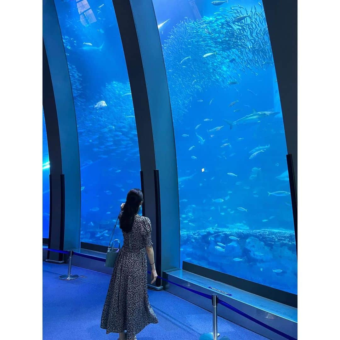 伊藤友季子さんのインスタグラム写真 - (伊藤友季子Instagram)「🐬🩵🫧  記憶にないくらい久しぶりのシーパラ🏝️  可愛いピンクの子を連れて帰って ペー子と名付けました🩷 お腹に手を入れられるところが 気に入ってる🐧 　 動画はリールにします♩ 　 　 #seaparadise #シーパラダイス #水族館」6月11日 20時39分 - yukiko_xx