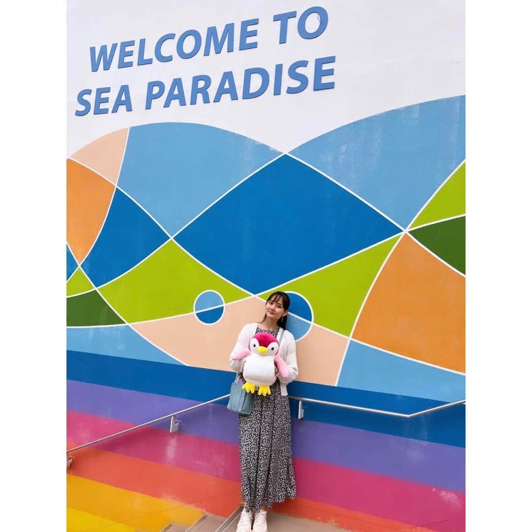 伊藤友季子さんのインスタグラム写真 - (伊藤友季子Instagram)「🐬🩵🫧  記憶にないくらい久しぶりのシーパラ🏝️  可愛いピンクの子を連れて帰って ペー子と名付けました🩷 お腹に手を入れられるところが 気に入ってる🐧 　 動画はリールにします♩ 　 　 #seaparadise #シーパラダイス #水族館」6月11日 20時39分 - yukiko_xx