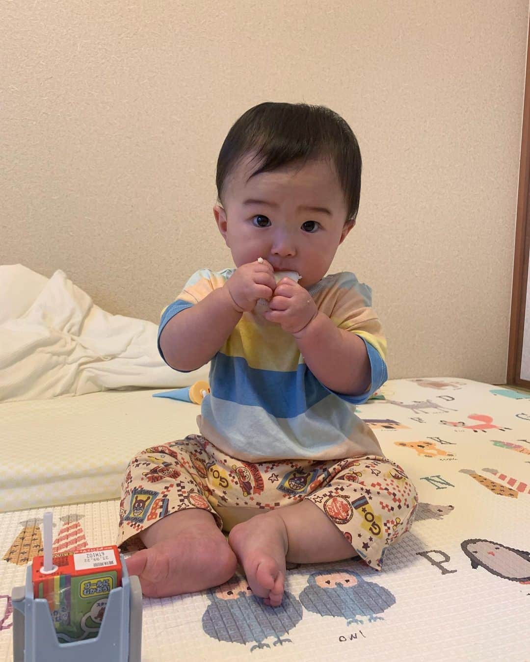 matano Kastaneのインスタグラム：「最近のひなたろう🐣  毛穴に良いCICA✨✨ ロイホのパフェ🍨💘」
