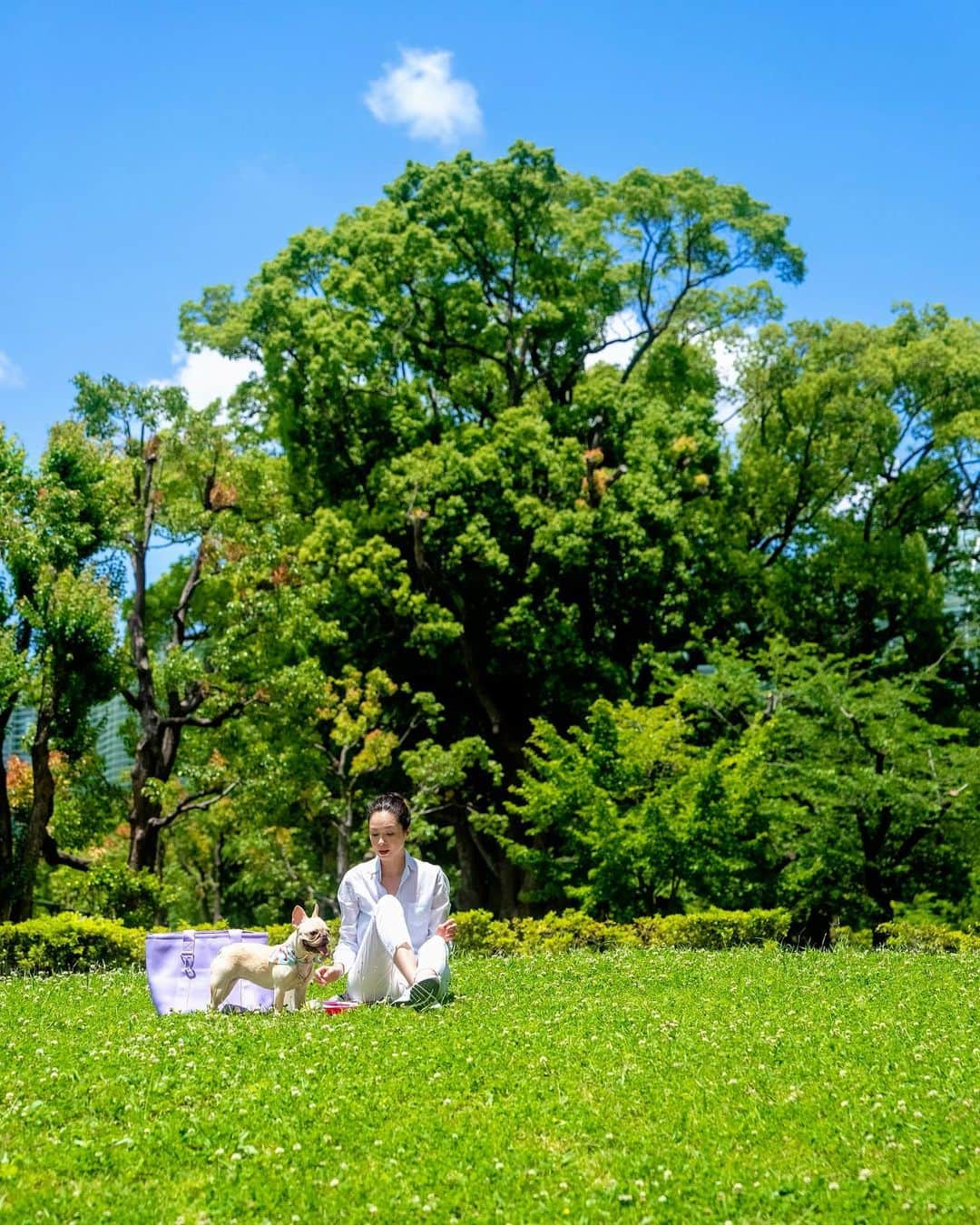 川原亜矢子のインスタグラム：「Picnic✨ #frenchbulldog #tokyo #birthday #愛犬 #ピクニック #フレンチブルドッグ #フレブル」