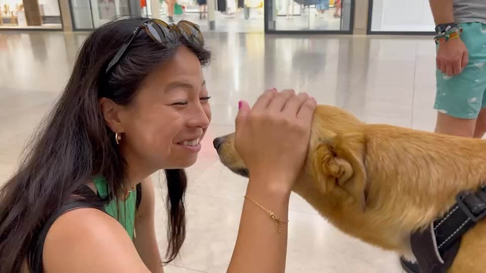 浅井悠由のインスタグラム：「🐕🖤」