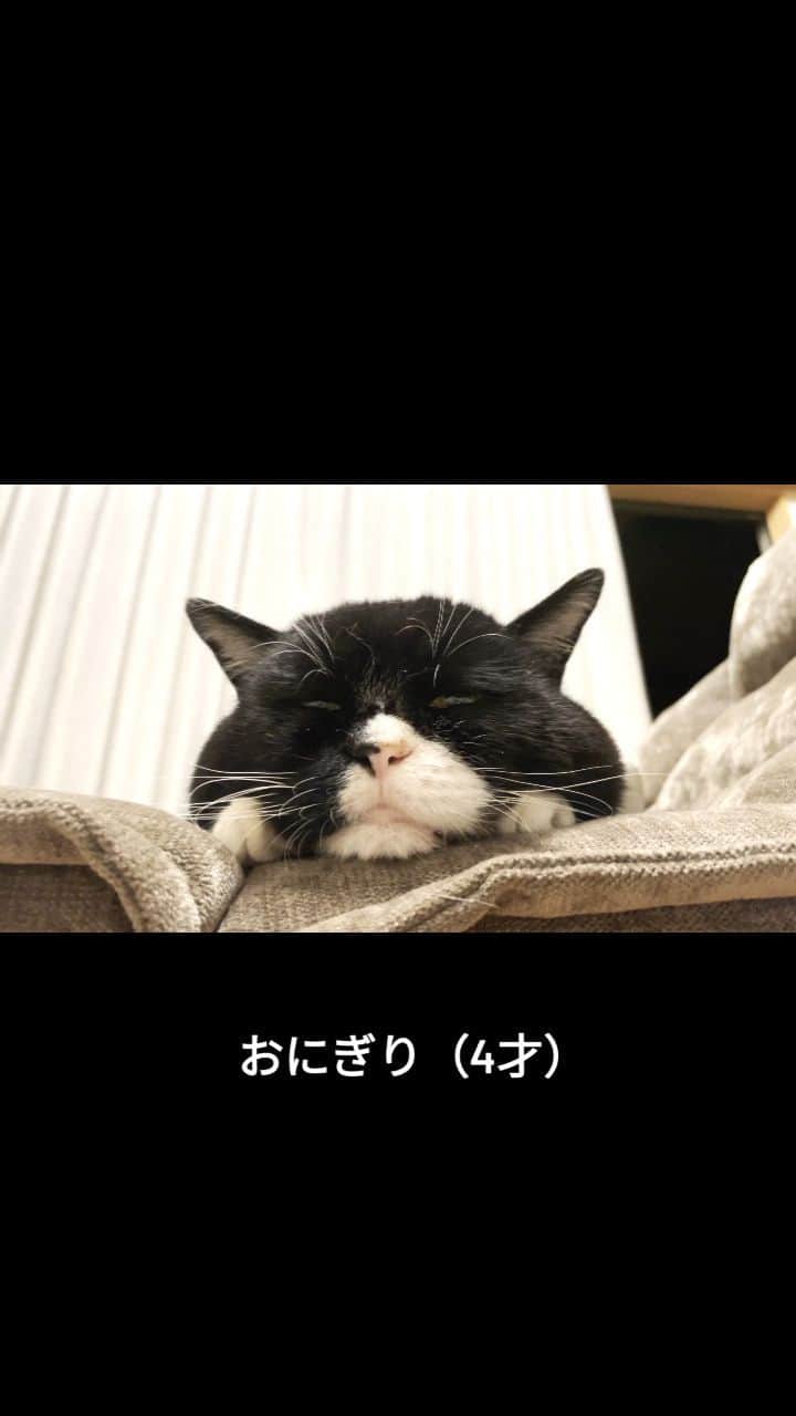 もんたの日常のインスタグラム