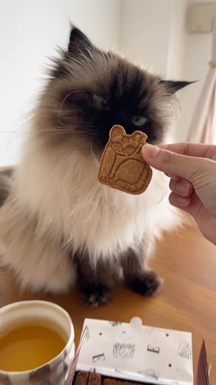 plumeのインスタグラム