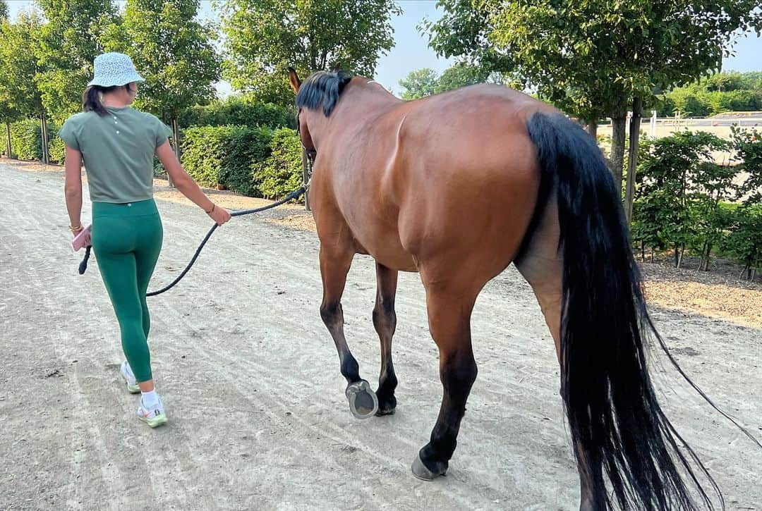 アイラ・トムリャノビッチさんのインスタグラム写真 - (アイラ・トムリャノビッチInstagram)「Needed this quick recharge with the fam 🥰🔋💯 🐴  Also if all else fails, really good at cooling off your horse with a wet towel after a good round, giving cuddles and unlimited carrots.」6月11日 22時18分 - ajlatom